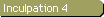 Inculpation 4